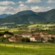 Veneajelu