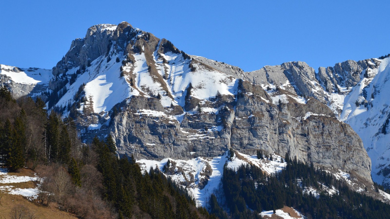 The Alps